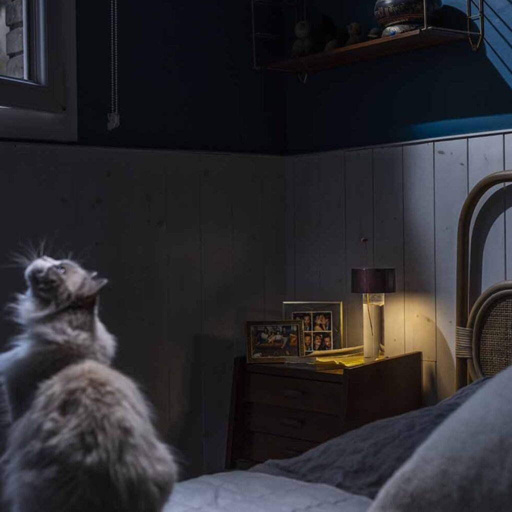 FOSCARINI FLEURl lampa